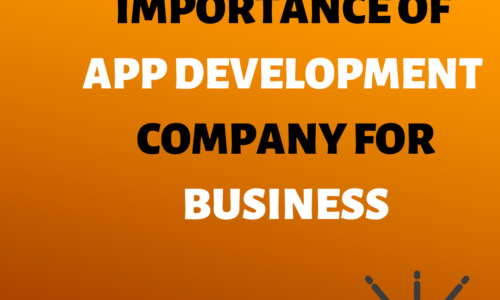 importance of app development company for business -ioninks